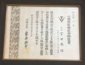 pic11